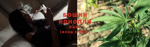 mix Богородицк