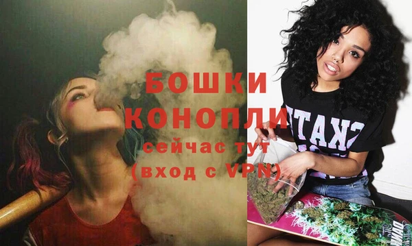 mix Богородицк