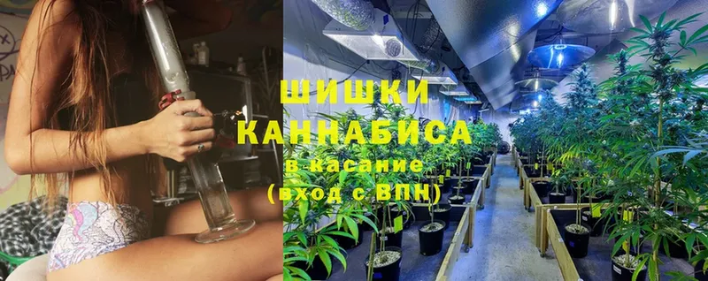 где продают наркотики  Кудрово  МЕГА вход  Каннабис марихуана 